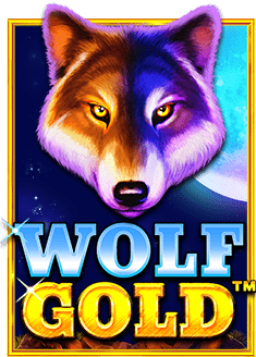 ประสบการณ์การทดลองใช้ฟรี ปืนเกมยิงปลา สุดมันส์